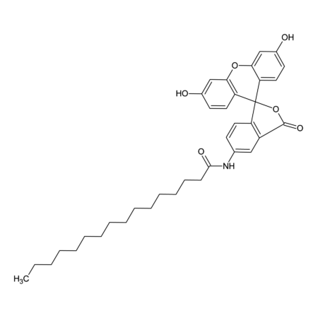 5-Hexadecanoylaminofluorescein