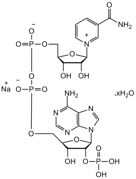 beta-Nicotinamide adenine dinucleotide phosphate sodium salt hydrate