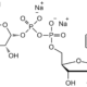 Uridine 5'-diphosphogalactose disodium salt
